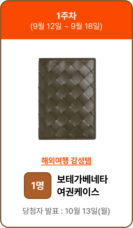 1주차 보테가베네타 여권케이스