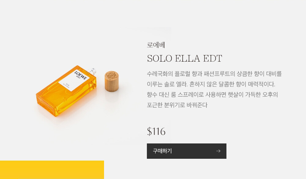 로에베 LOEWE SOLO ELLA EDT