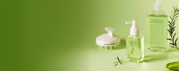 올인원 홈케어<br>스팀베이스