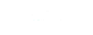 화이트