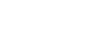 화이트