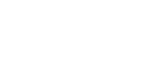 화이트