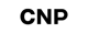 차앤박||CNP