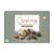 신세계인터넷면세점-길리안-Chocolate-Sweets-SEASHELLS COLLECTION (362g)
