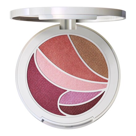 METAMORPHOSIS FACE AND EYE PALETTE  SHADE 01