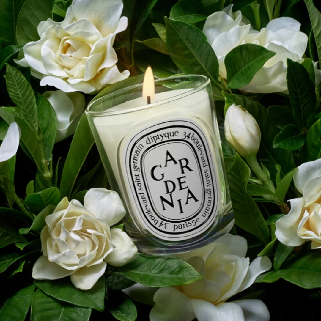 신세계인터넷면세점-딥티크-Candle_Diffuser_Aroma-클래식 캔들 가드니아 190g
