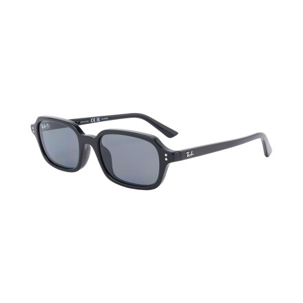 [Polarized Lens] 0RB4455F667781