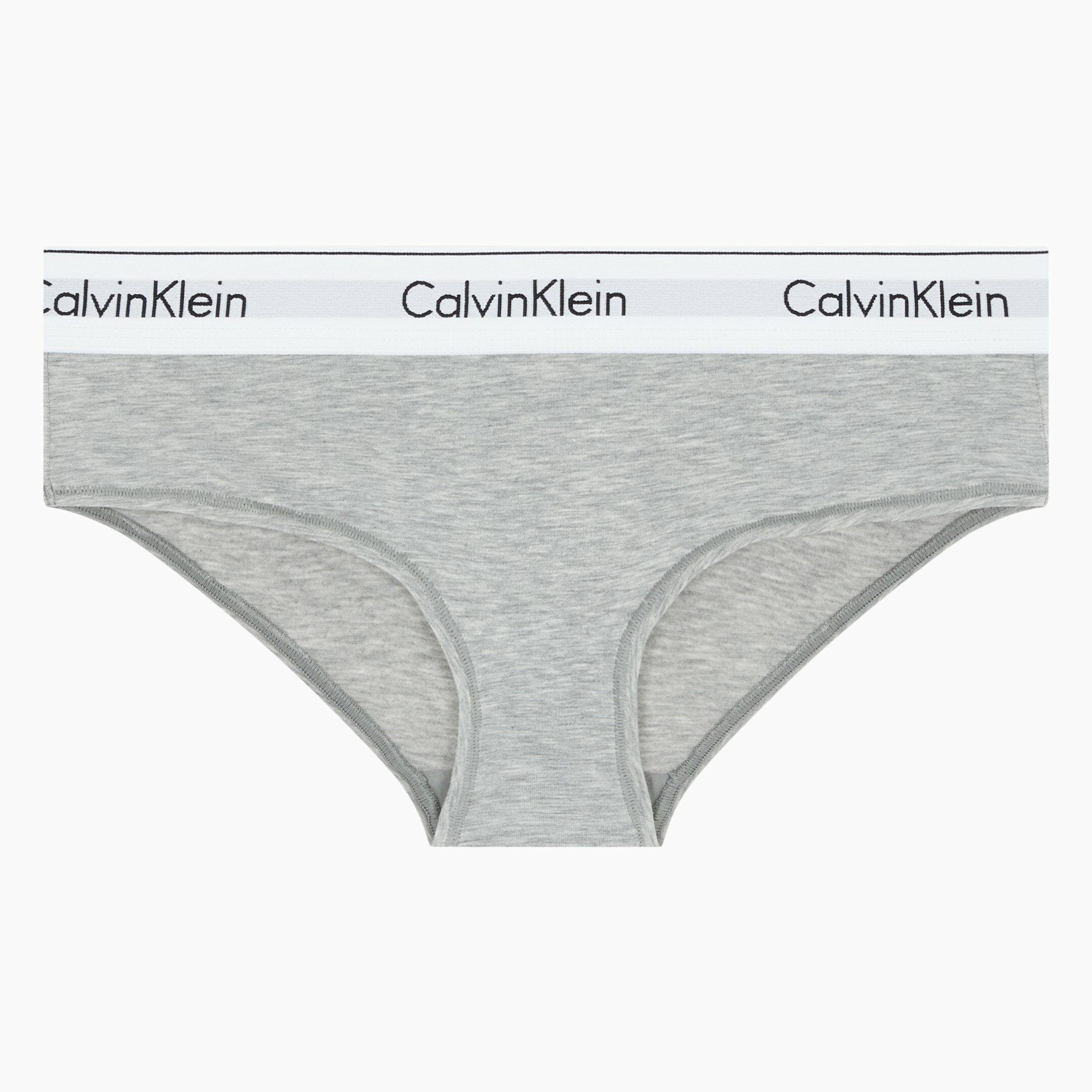Women's Modern Cotton AF Hipster_GREY
