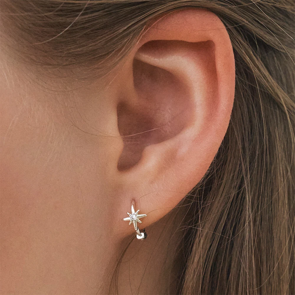 신세계인터넷면세점-앵브록스-earring-pure shine earring