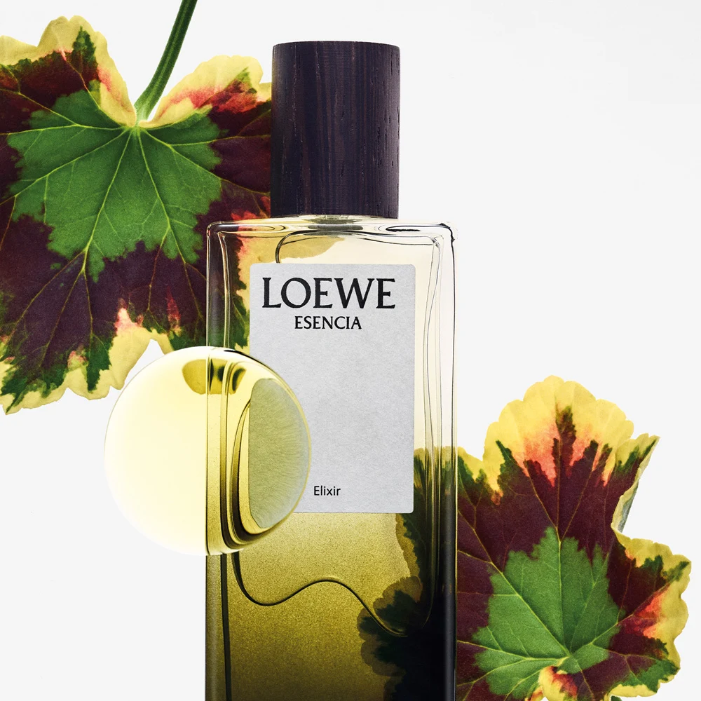 신세계인터넷면세점-로에베 C&P-perfume_for_woman-ELIXIR ESENCIA 75ml