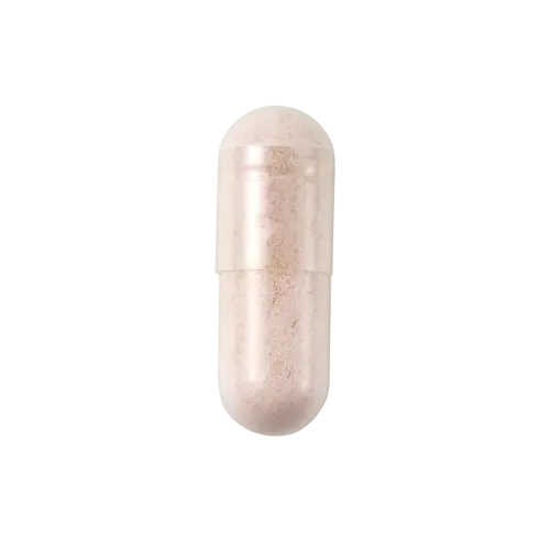 신세계인터넷면세점-뷰틱-뷰틱 삶의질 프로바이오틱스(350mg*14캡슐*2개입)