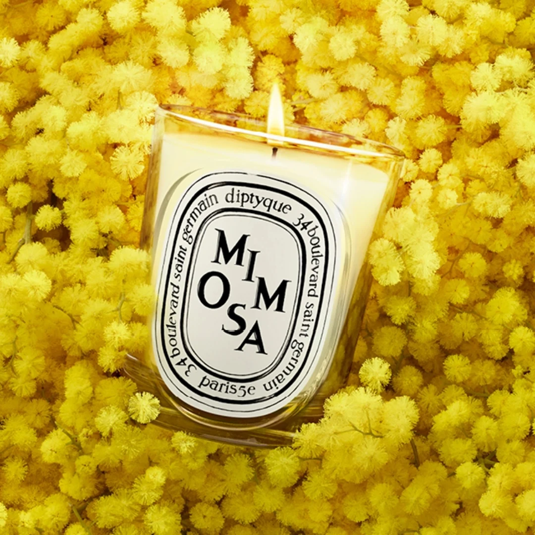 신세계인터넷면세점-딥티크-Candle_Diffuser_Aroma-클래식 캔들 미모사 190g