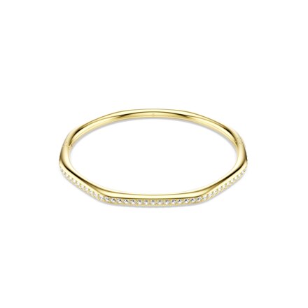 DEXTERA:BANGLE CRE/GOS M