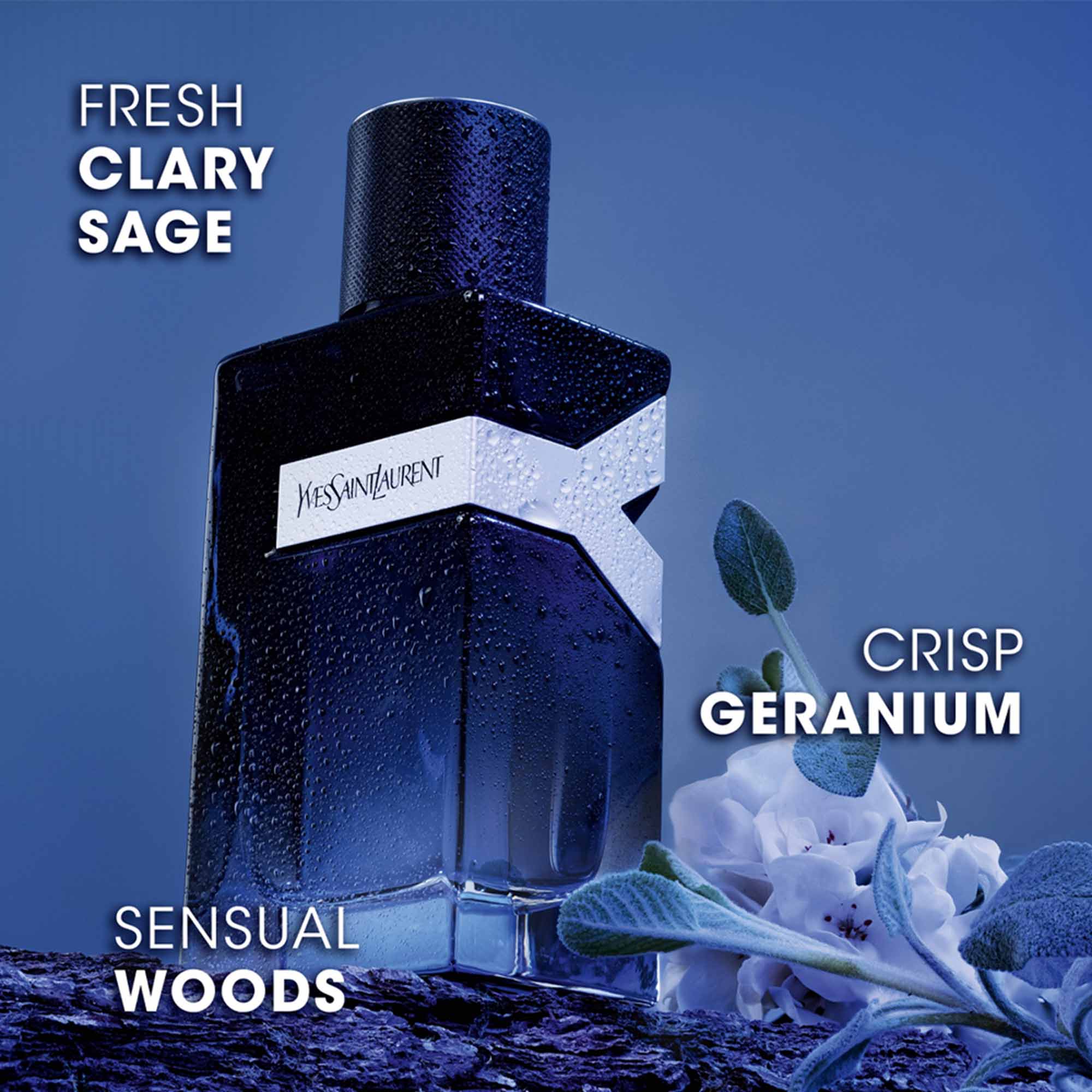 SASO DUAL COLOUR 香水 100ml 先锋男士香水100ML - 伊夫圣罗兰- 美妆馆| 韩际新世界免税店
