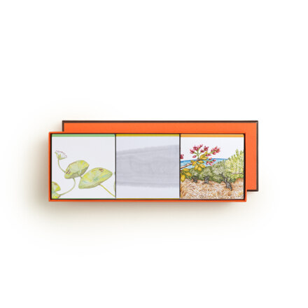 Parfums Jardins (JSN+JML+J23) Scented soaps Set 100g (/3)