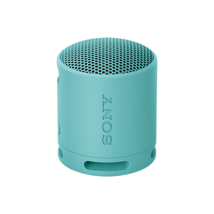 SRS-XB100/L
