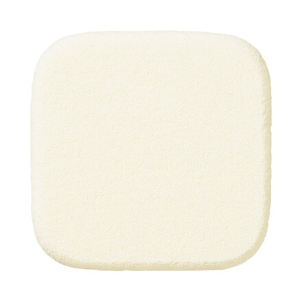 Makeup Sponge SF