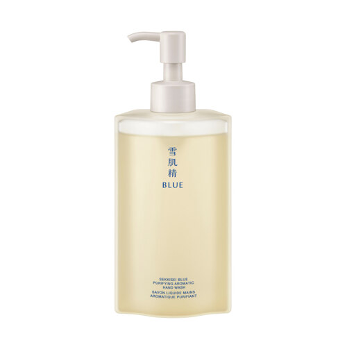 PURIFYING AROMATIC HAND WASH 250ml