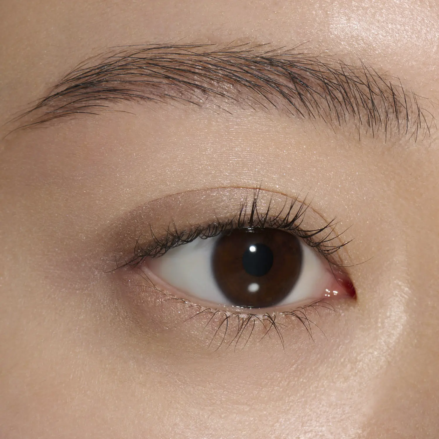 신세계인터넷면세점-루나솔-아이메이크업-MONO EYE COLORATION