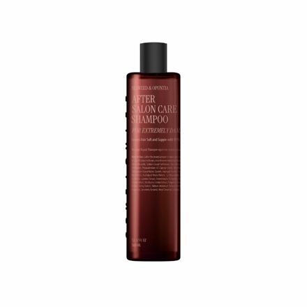 After Salon Care Shampoo (Severely Damaged Hair) 360ml / 沙龙护理洗发水（极度受损发质）
