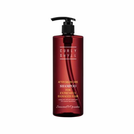 After Salon Care Shampoo (Severely Damaged Hair) 500ml / 沙龙护理洗发水（极度受损发质）
