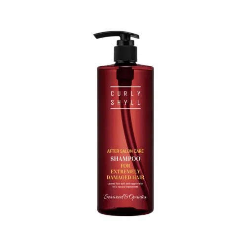 After Salon Care Shampoo (Severely damaged hair) 500ml