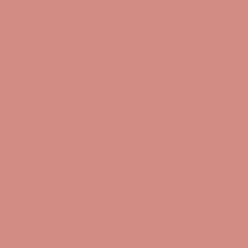 신세계인터넷면세점-디올-페이스메이크업-ROUGE BLUSH CHEEK AND CHEEKBONE BLUSH - LONG WEAR 100 NUDE LOOK 6.7G