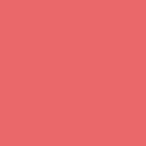 신세계인터넷면세점-디올-페이스메이크업-ROUGE BLUSH CHEEK AND CHEEKBONE BLUSH - LONG WEAR 028 ARTICLE 6.7G