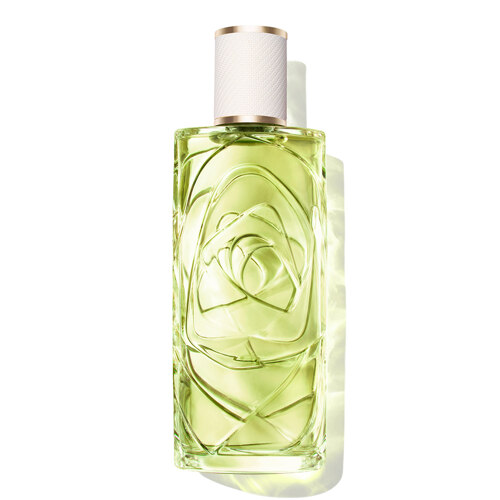 오프 나우 오 드 뚜왈렛 100ml