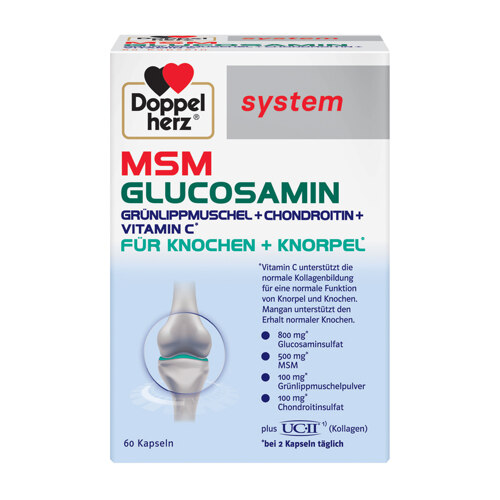 신세계인터넷면세점-도펠헤르츠-Supplements-Etc-[면세단독] MSM 글루코사민 60캡슐