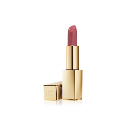 Pure Color 매트 립스틱 #669 스톨른 하트 3.5g