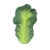 켄달 더 케일-Kendall the Kale