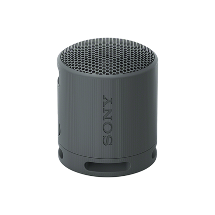 SRS-XB100/B