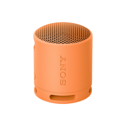 SRS-XB100/D