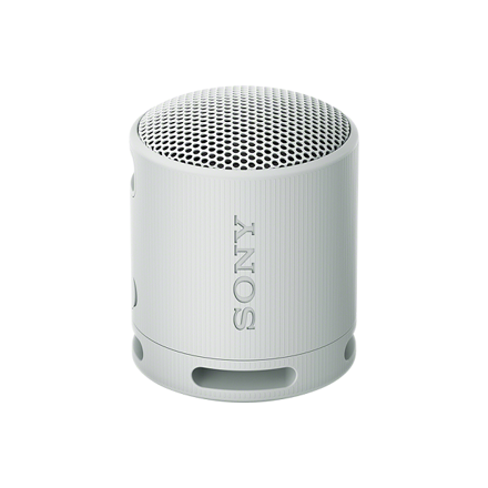 SRS-XB100/H