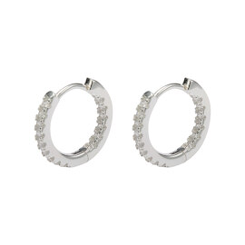 [silver 925] Inside Stone Earring