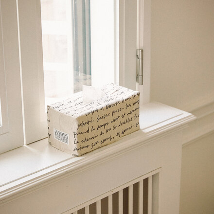 Le Silence Tissue Box Cover