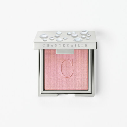 Radiant Blush Rose