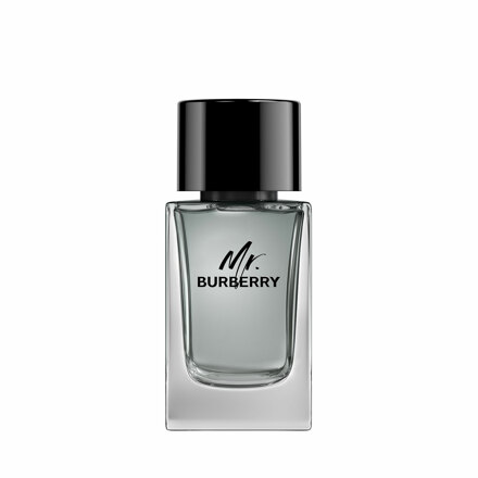 미스터 버버리 오 드 트왈렛 100ml