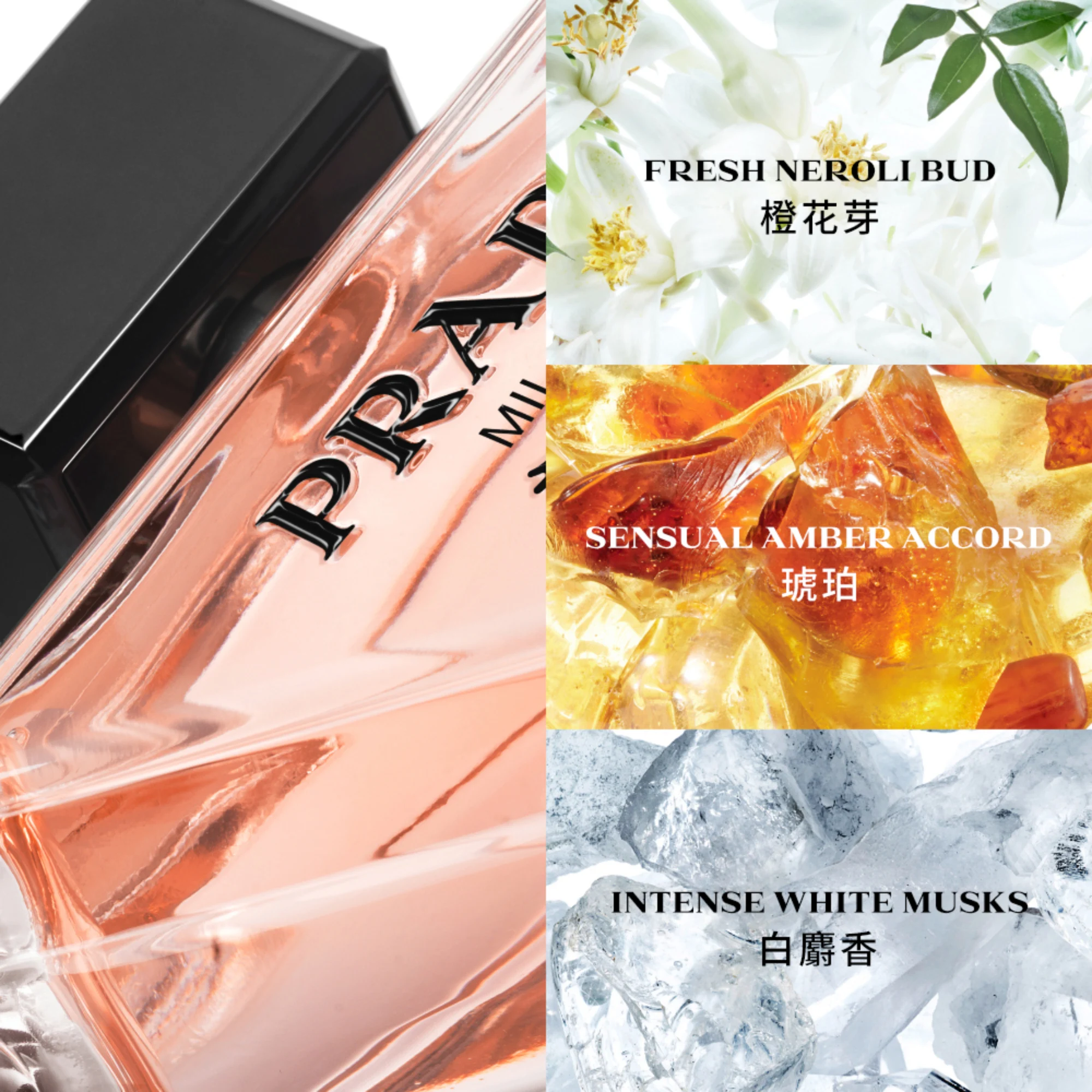 신세계인터넷면세점-프라다 향수-perfume_for_woman-패러독스 EDP 90ml