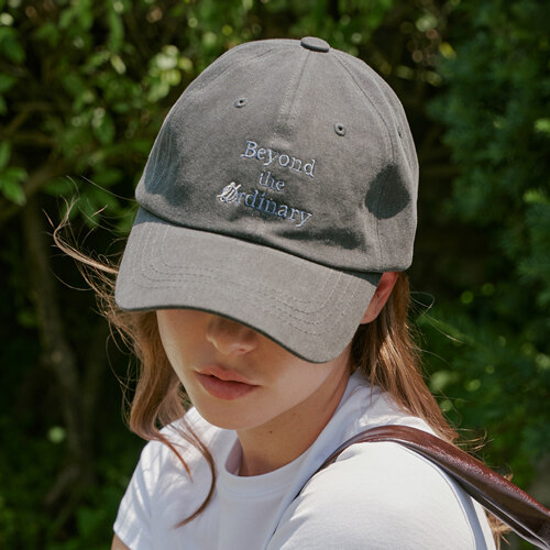 Ordinary Ball Cap Gray (帽子)