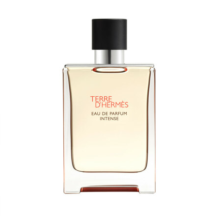 떼르 데르메스 오드퍼퓸 인텐스 100ml