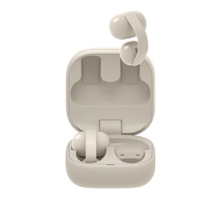 LinkBuds Clip/C