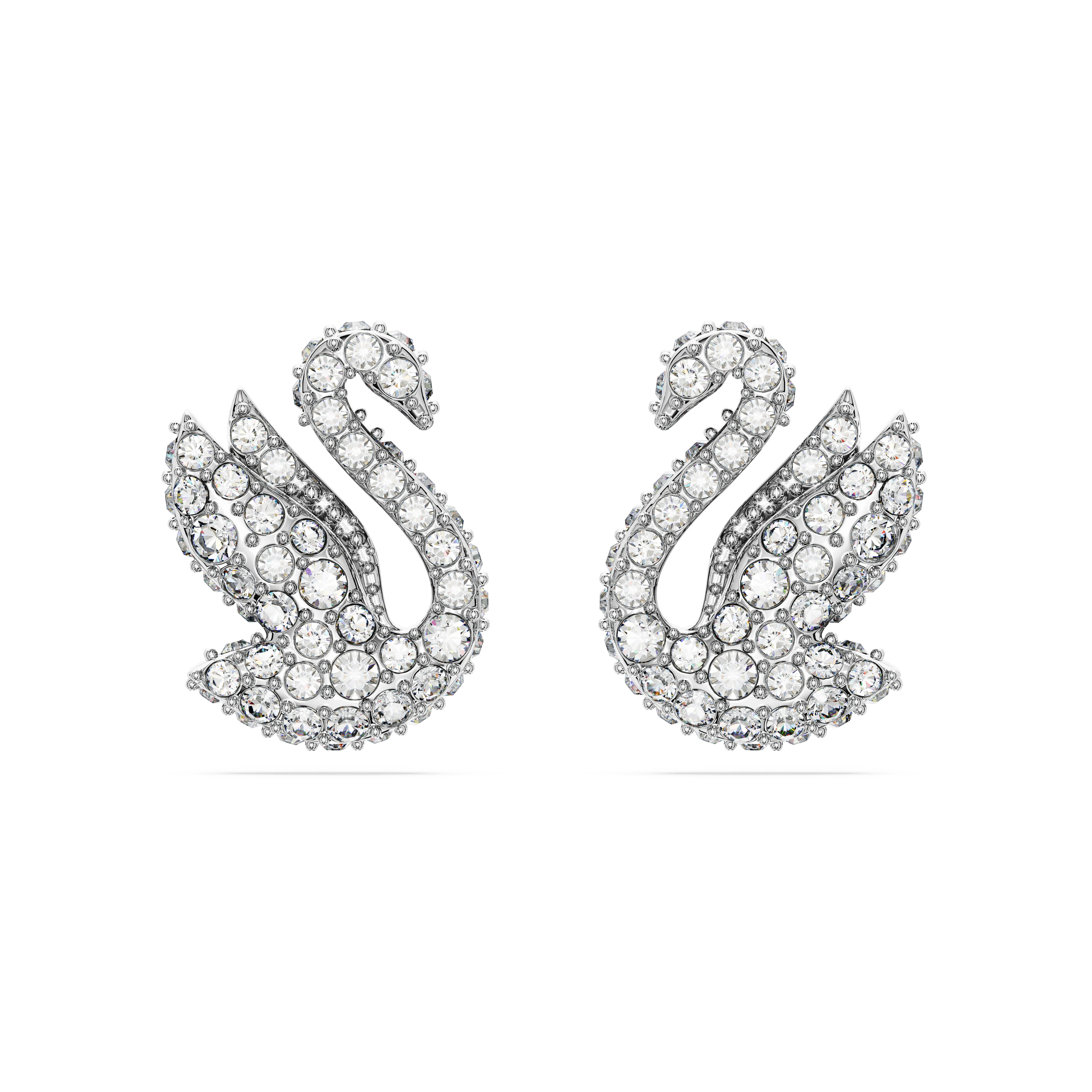 신세계인터넷면세점-스와로브스키-earring-SWAN:PE XXS CRY/RHS