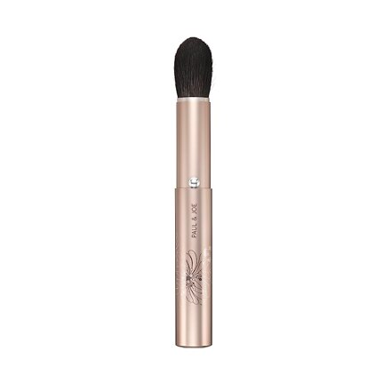 PORTABLE FACE COLOR BRUSH