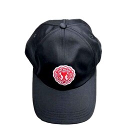[AMI] Baseball cap