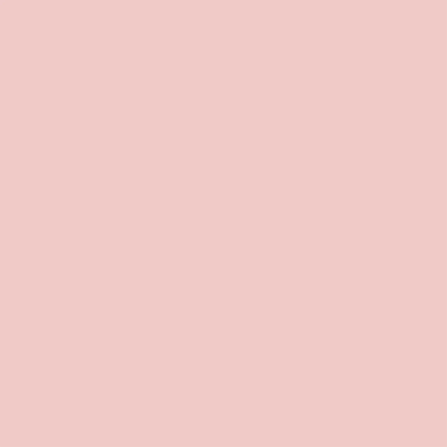 신세계인터넷면세점-톰 포드 뷰티-페이스메이크업-ARCHITECTURE SOFT MATTE CUSHION #Rose 12g