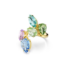 GEMA:RING OPEN MUL/GOS