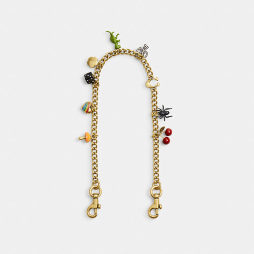 Chain Strap with Charm 链条肩带