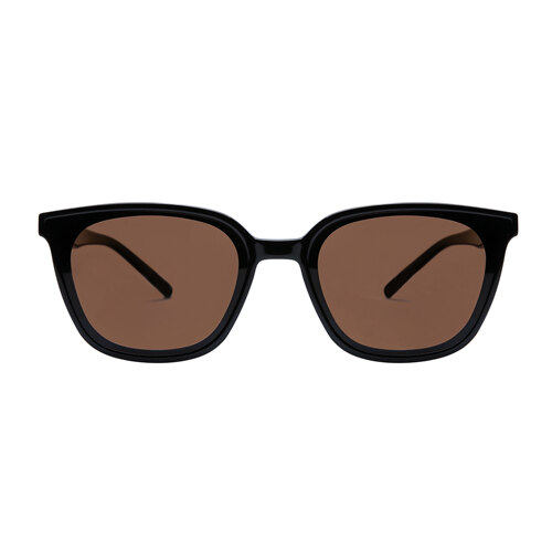 韩际新世界网上免税店-RIETI-太阳镜眼镜-ALDO C2, Brown Lens + Black Frame太阳镜